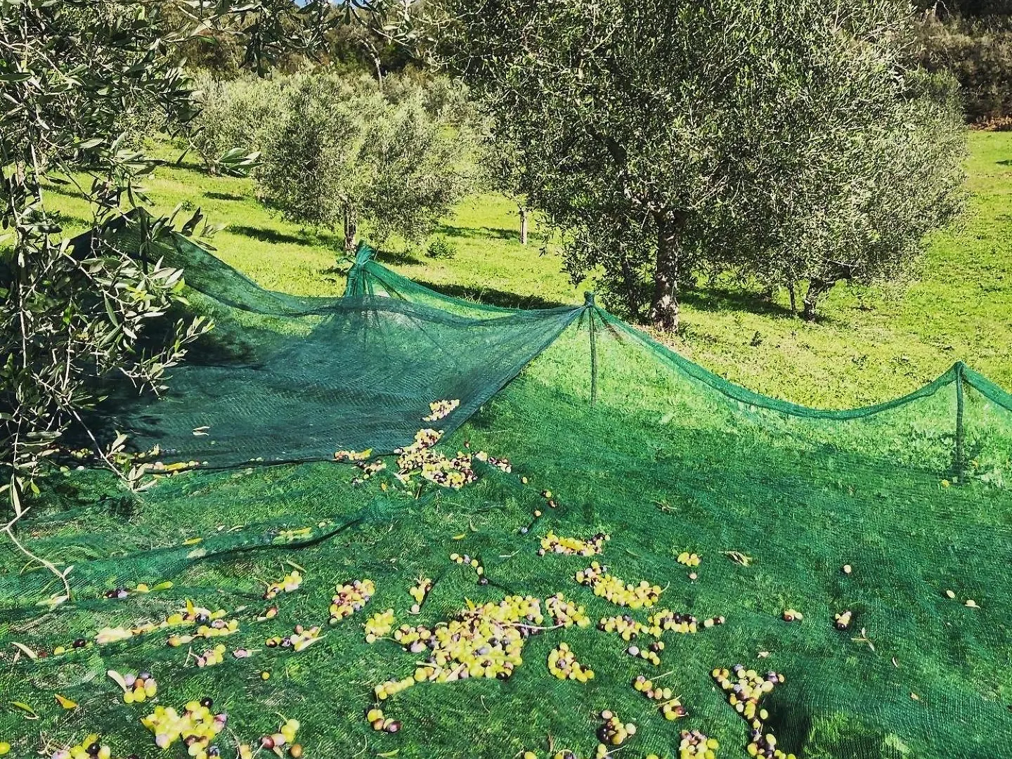 Agriturismo Podere Acquarello Massa Marittima Italia